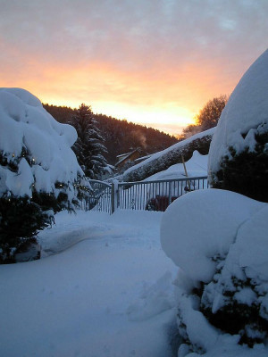 Sonnenaufgang_Vorgarten_10.12.10.jpg