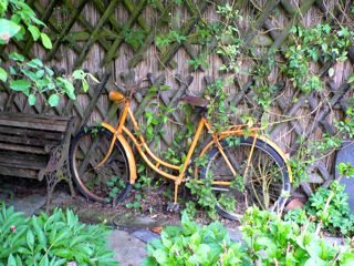 Fahrrad.jpg