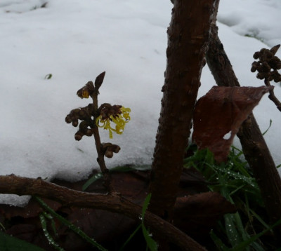 tg_101212_1.jpg