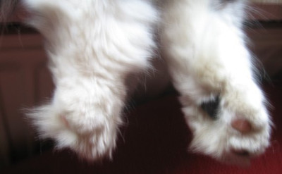 MoonBoots.jpg