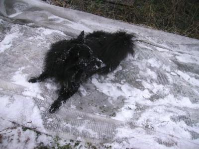 Schneebad.jpg