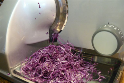 Rotkohl.2010..JPG