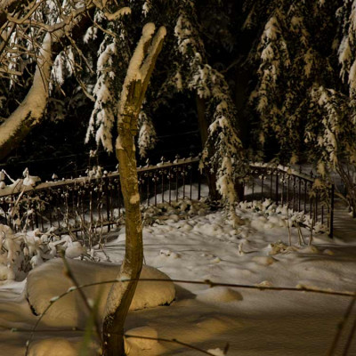 Garten-bei-Nacht-Dez1710.jpg