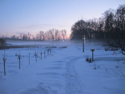 Guten_Abend_18.12.10_ue.jpg