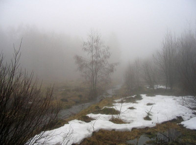 Rotes_Moor_fars_2010.jpg