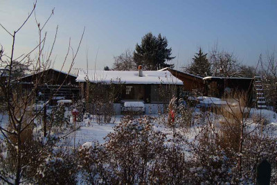 winter_dezember2010_zg.jpg