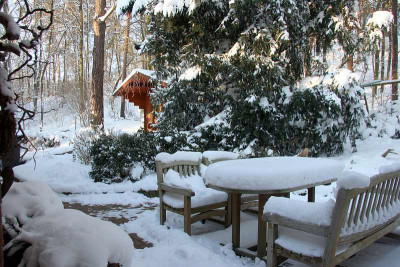 WinterIMG_6985jpg.jpg