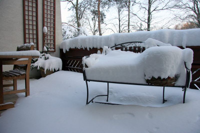 WinterIMG_6977jpg.jpg