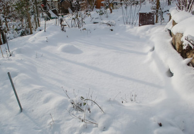 Winterteich_0010__2888.jpg