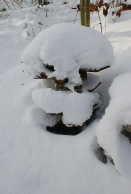 Schneeturm_0010__2892.jpg
