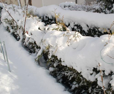 Schneereihen_0010__2882.jpg