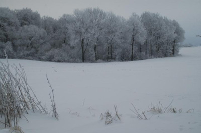 unbearbeitet3154.jpg
