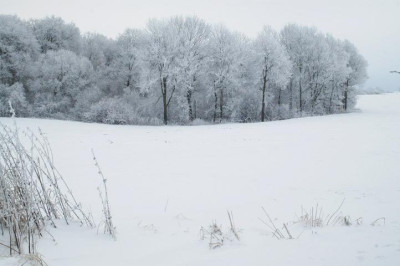 winter3154-bearbeitet-small.jpg