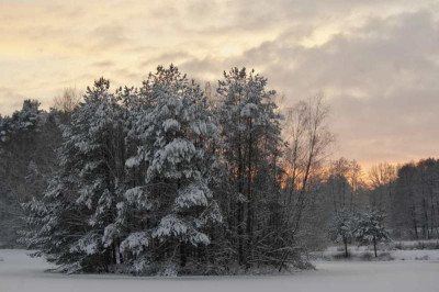 kohlerteich_im_abendkitsch.jpg
