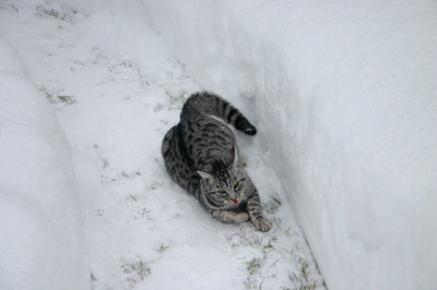 Feb.0310a.jpg