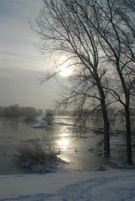 B5029_Medium.JPG