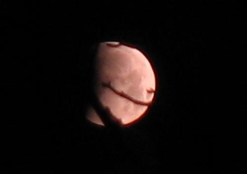 IMG_0963_80kb.jpg
