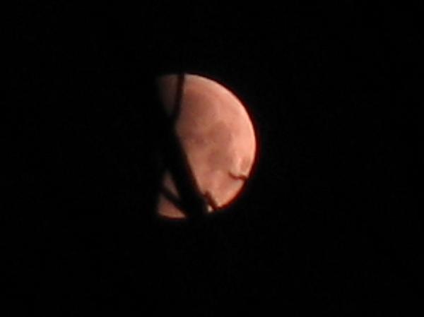 IMG_0968_80.jpg