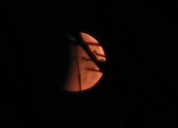 IMG_0975_80.jpg