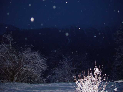 K640_DSC00058.JPG