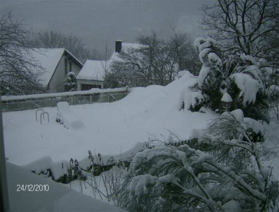 Schnee-an-Heiligabend.jpg