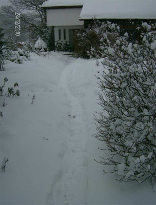 heiligabendschnee9.jpg