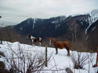 K640_DSC00065.JPG