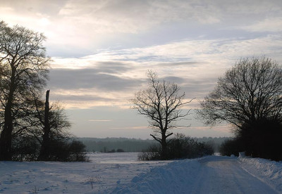 winter3414.jpg
