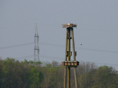 Adabar-April-1.jpg