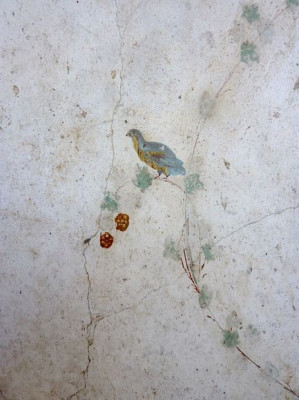 Villa_Oplontis_fars_2010.jpg
