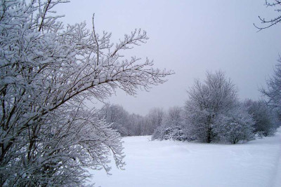 schnee_berlin20101230_3.jpg