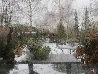 Gartenblick101223.jpg