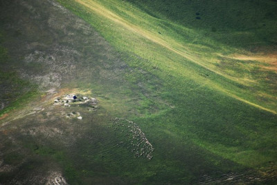 schafe_castelluccio.jpg