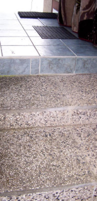 100_8005.JPG