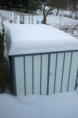 Schneeschuppen.jpg