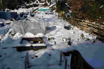 jksgarten02012011_001.jpg