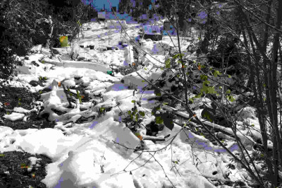 jksgarten02012011_025.jpg