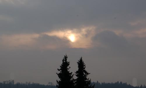 PSF_0011__2961.jpg