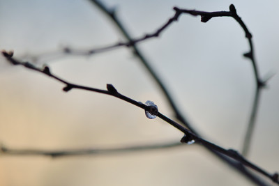 Sonniger-Morgen-Jan0511.jpg