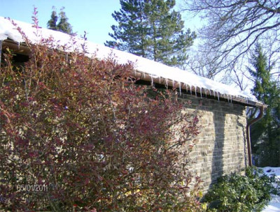 Eiszapfen-ueber-Rhododendre.jpg