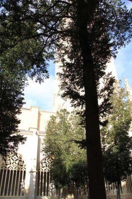 kreuzgang_kathedrale_sergovia.jpg