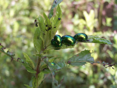 27.06.2010-1_800x600.jpg