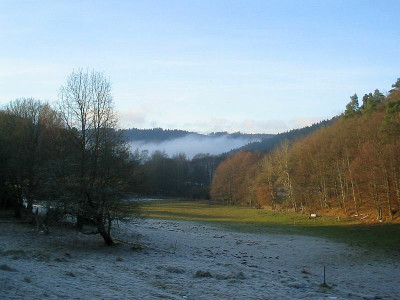 Sonne_10.01.11.jpg