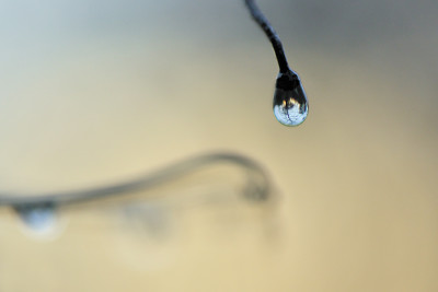 Gluehlampe-Jan1211-2.jpg