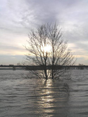 hochwasser6.JPG