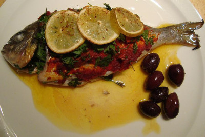 dorade_20110115_zg3.jpg