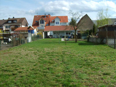 garten1.jpg