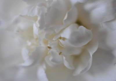 Compressed_0080.jpg