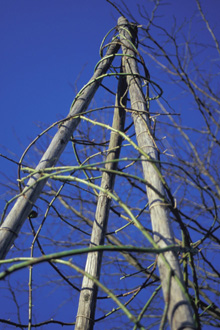 023_Binden-Ramblerpyramide.jpg