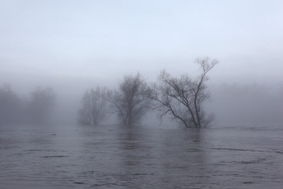 Januarhochwasser-3.jpg